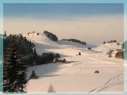 PARK SNOW DONOVALY