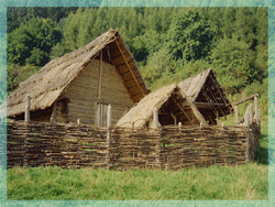 Havranok
