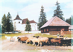 Muzeum lipt. dediny Pribylina